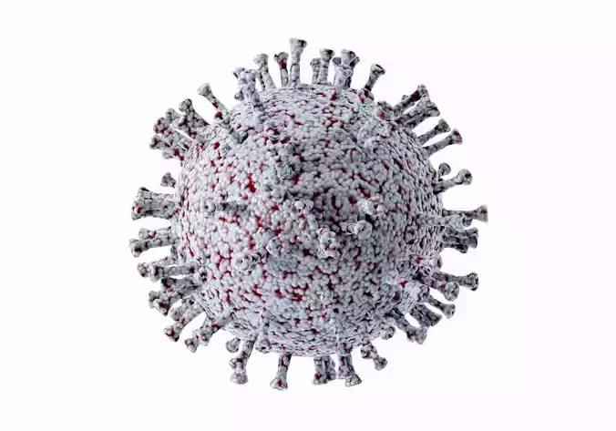 Coronavirus n-cov 2019 model with blood cells pandemic  Free 3D model