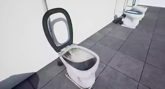 Old Toilet
