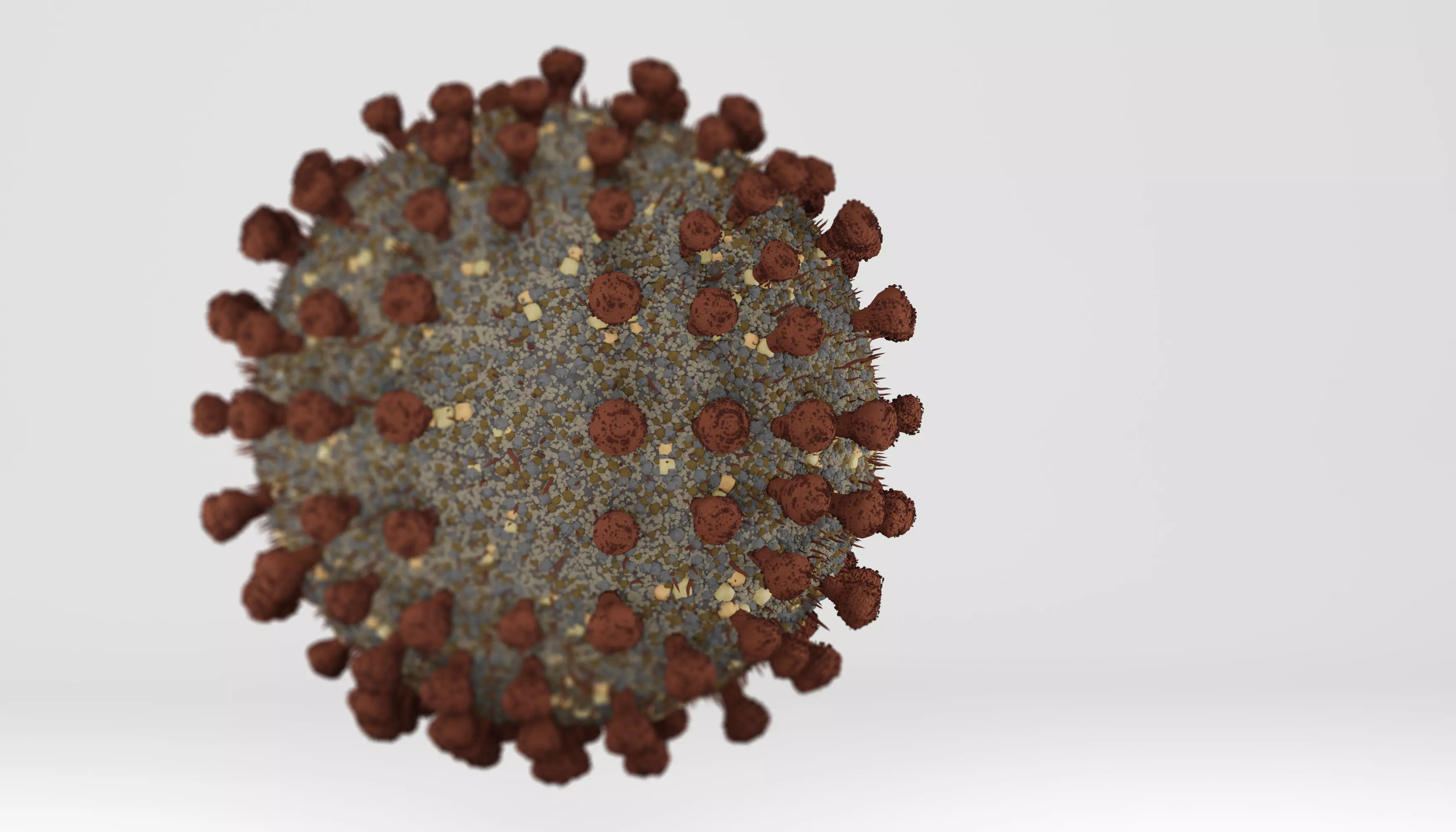 Coronavirus - Covid 19 3D model