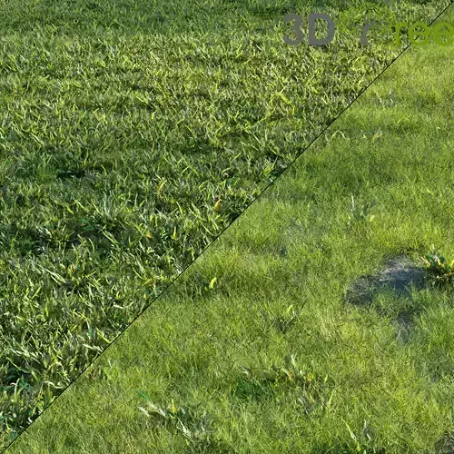 Grass Set 01 Low-poly 3D model