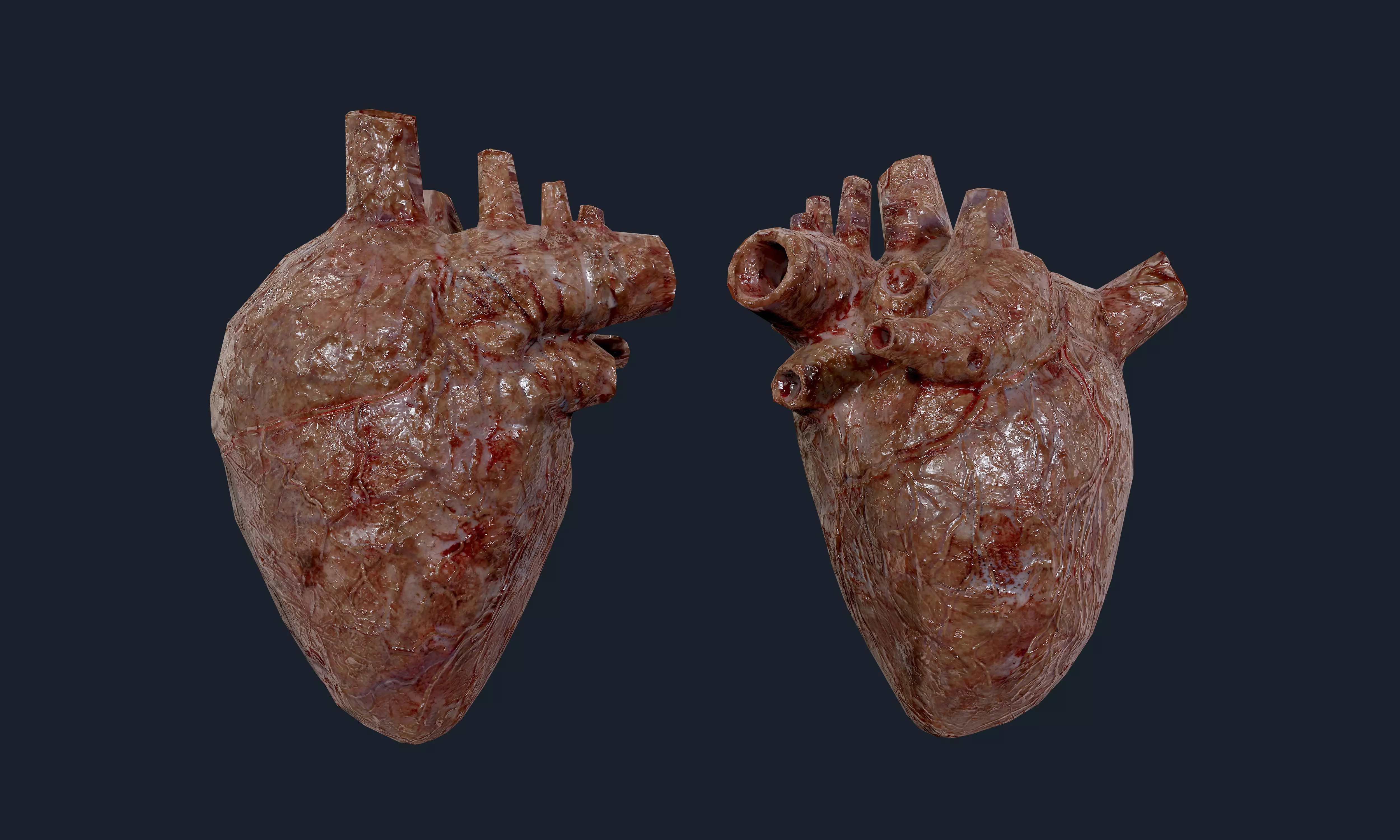 Heart Human Organ Game Ready 02 Low-poly 3D model_0