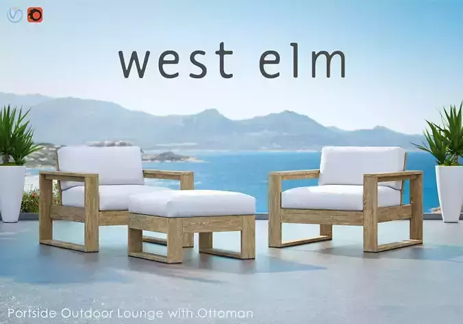 WEST ELM PORTSIDE Outdoor Lounge Chair with Ottoman