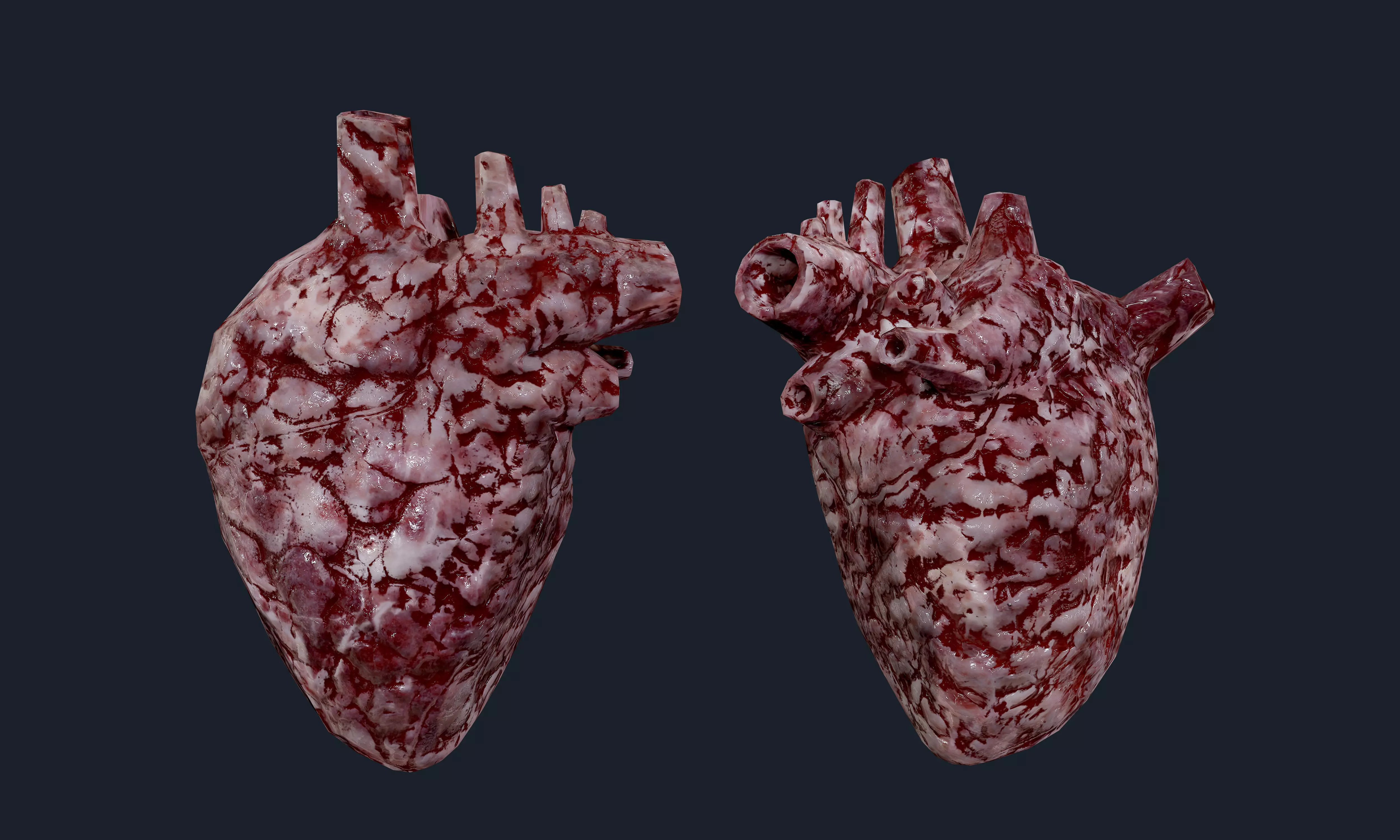Heart Human Organ Game Ready 06 Low-poly 3D model_0