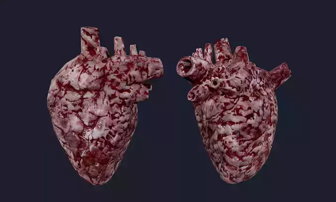 Heart Human Organ Game Ready 06 Low-poly 3D model