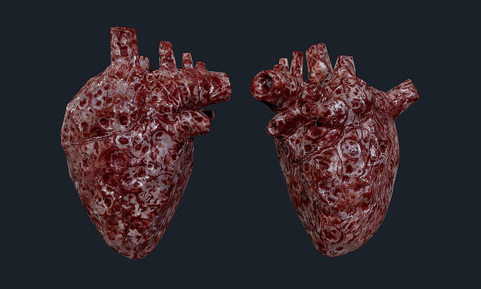 Heart Human Organ Game Ready 08 Low-poly 3D model