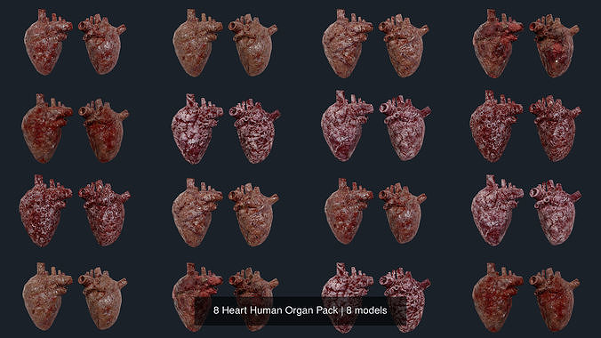 8 Heart Human Organ Pack 3D Model Collection