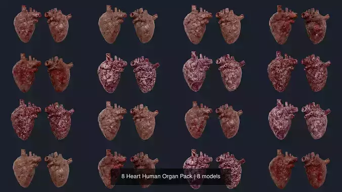8 Heart Human Organ Pack 3D Model Collection