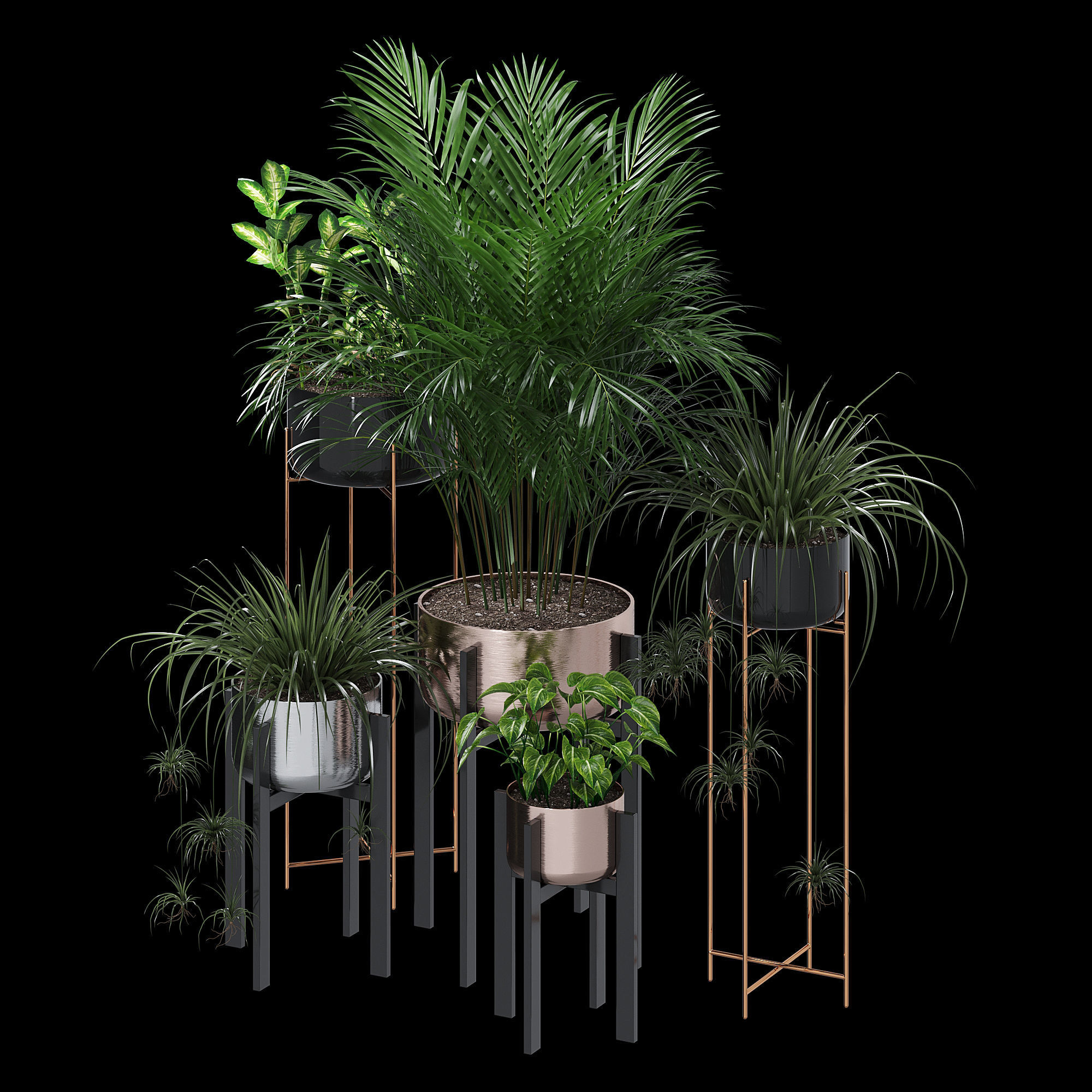 Dash edge 3D model_2