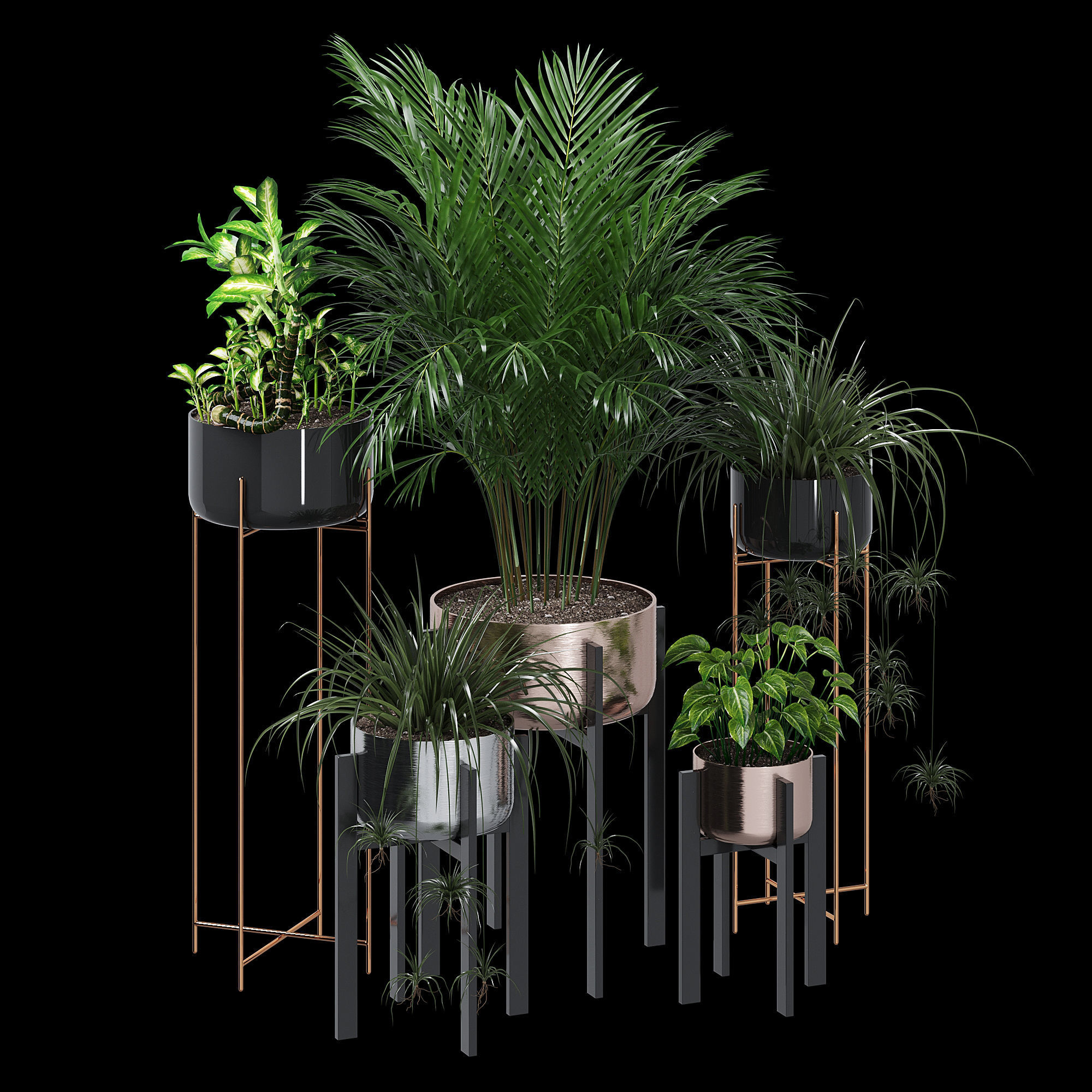 Dash edge 3D model_3