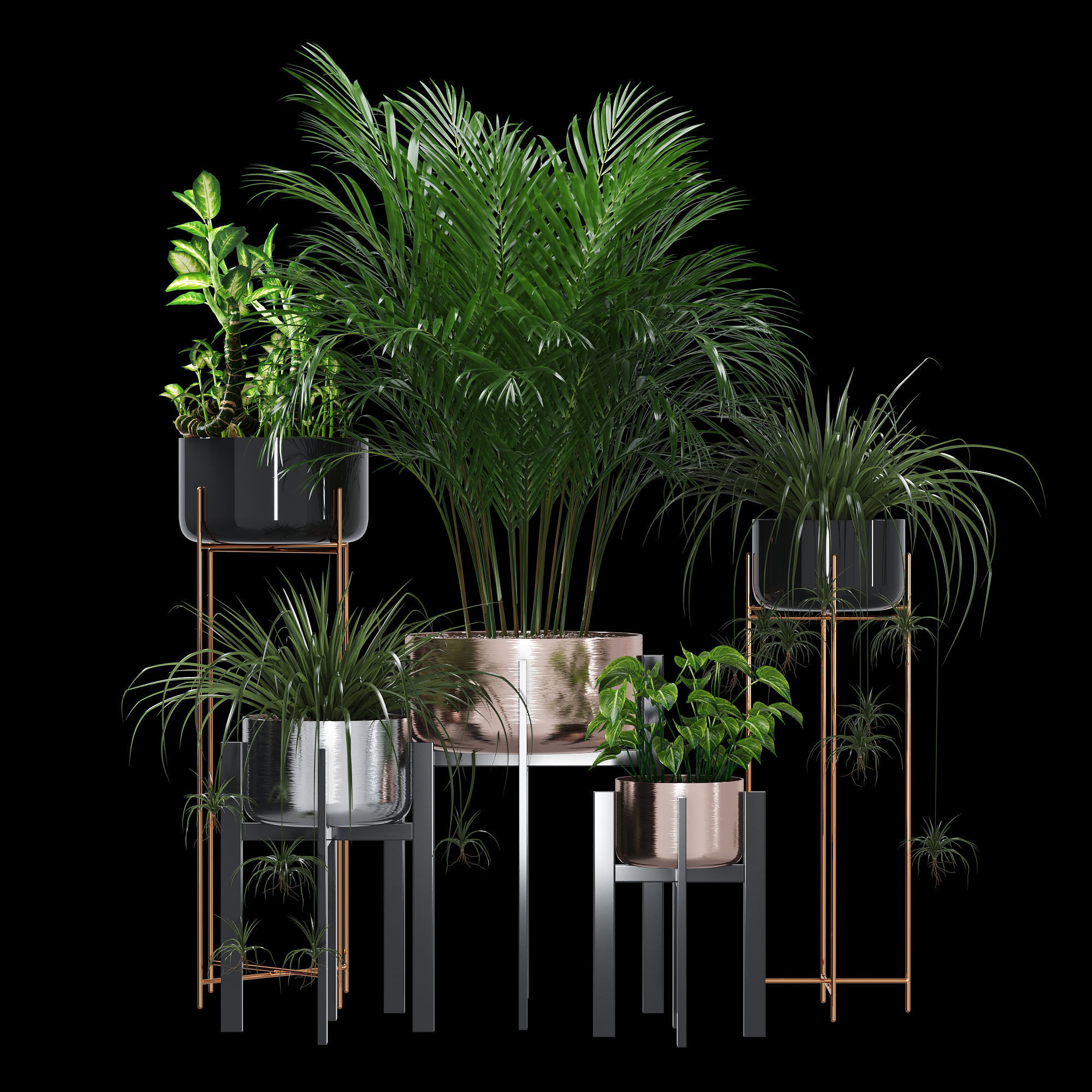 Dash edge 3D model_1