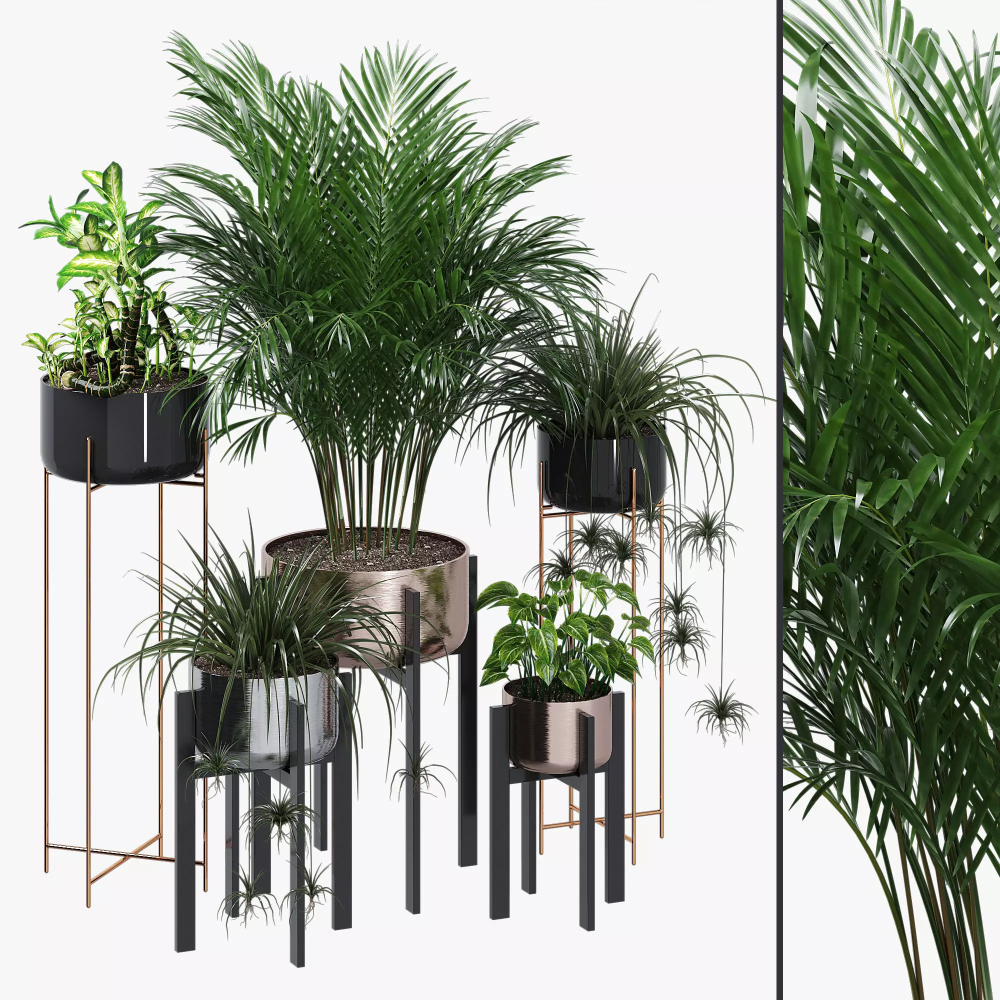 Dash edge 3D model_0