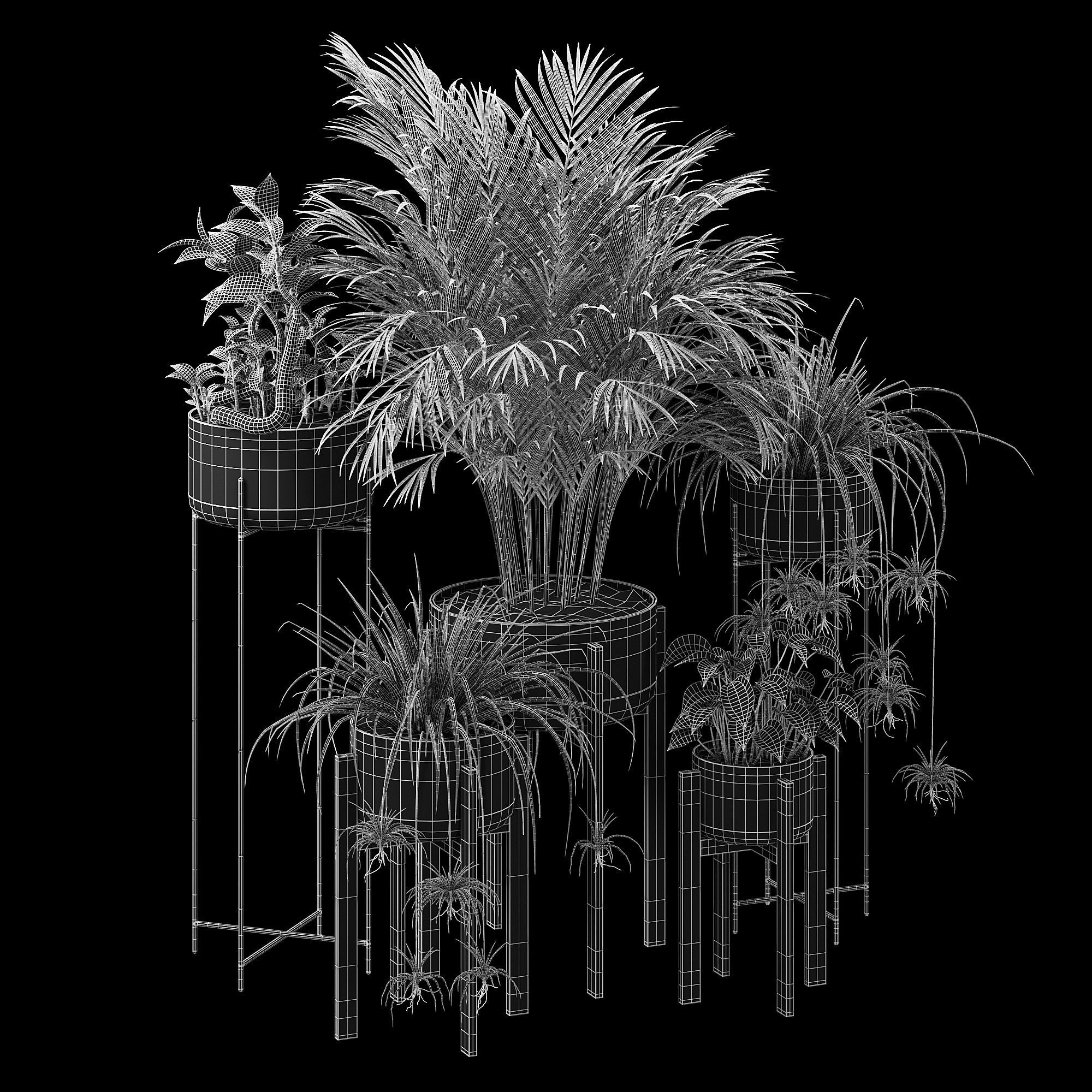 Dash edge 3D model_7