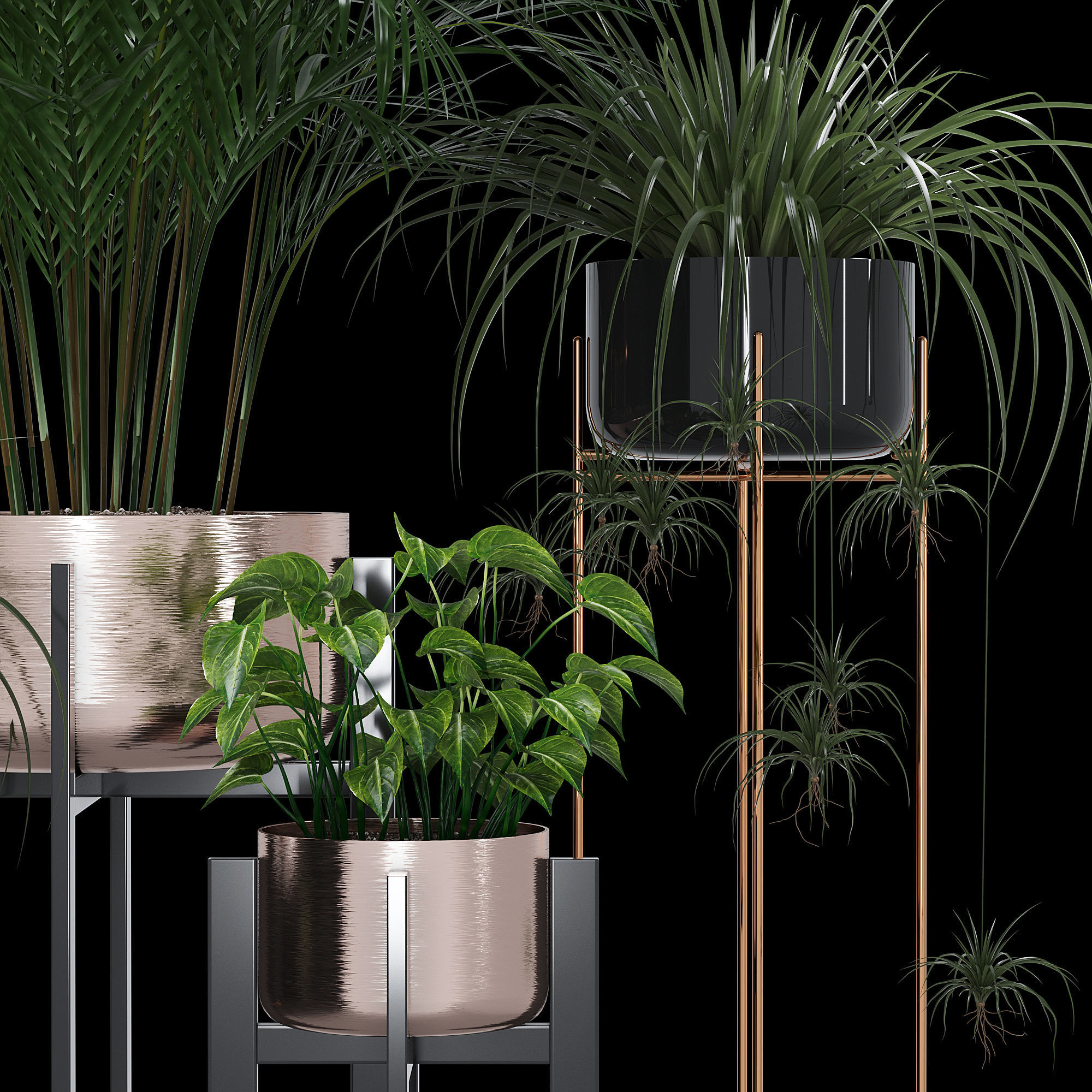 Dash edge 3D model_5