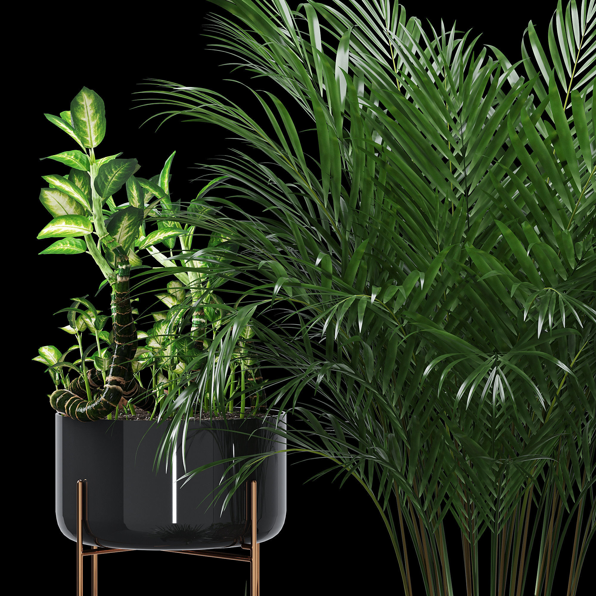 Dash edge 3D model_6