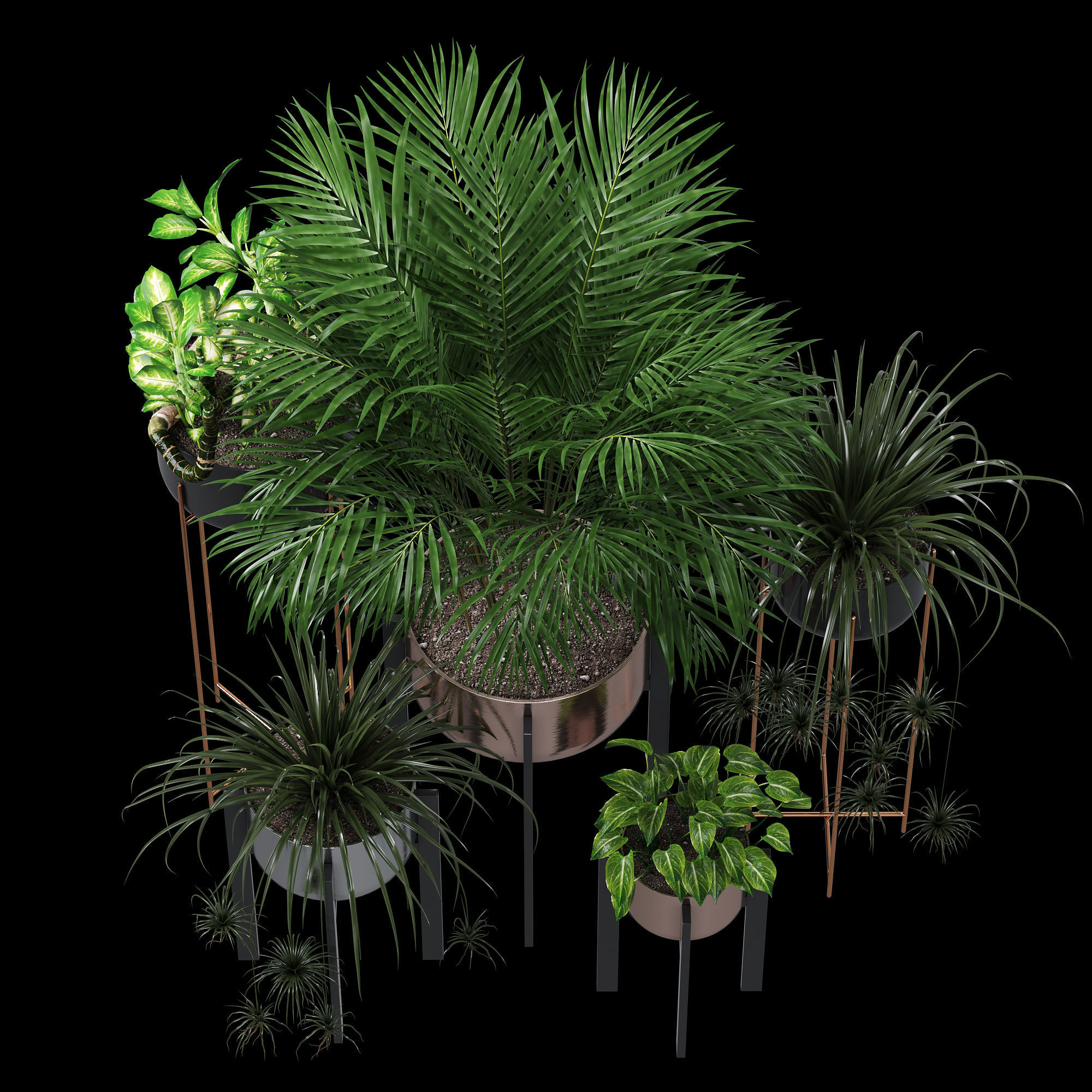 Dash edge 3D model_4