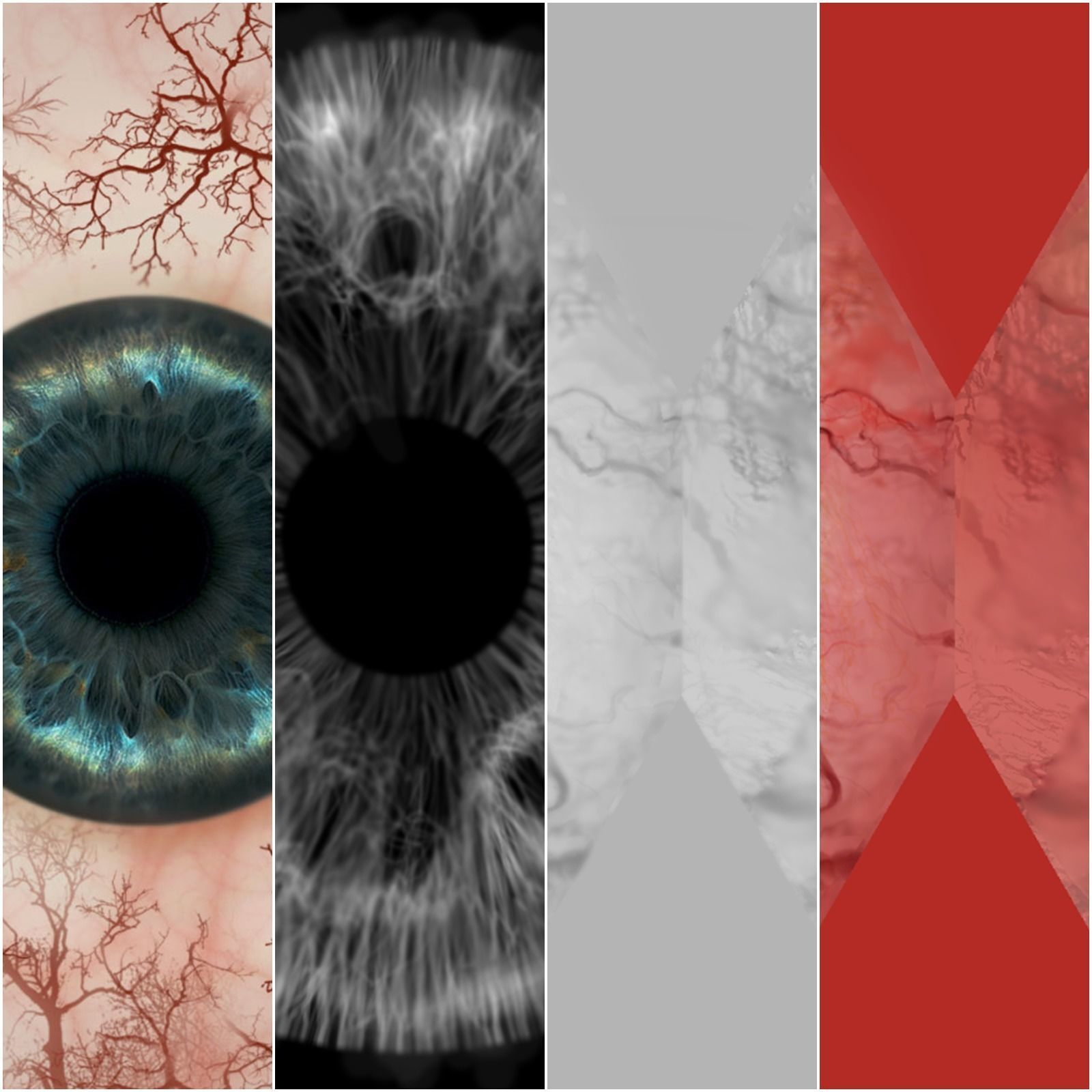 Human eyes Low-poly 3D model_13