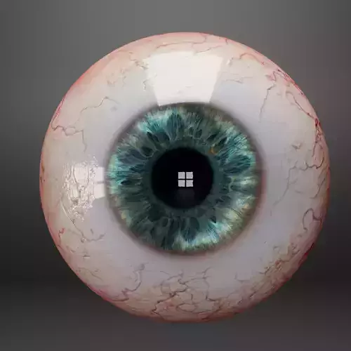 Human eyes Low-poly 3D model