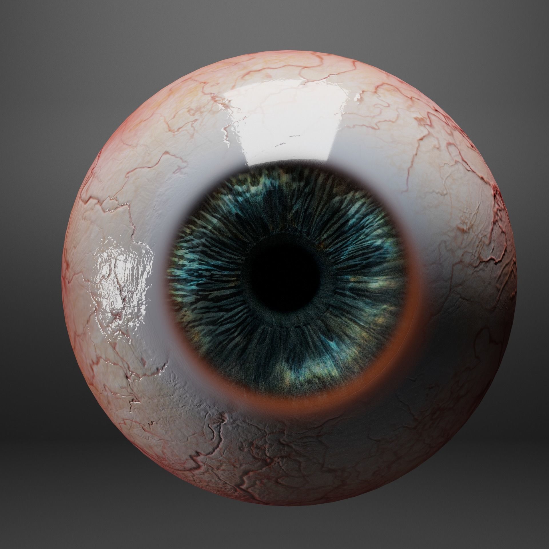 Human eyes Low-poly 3D model_8