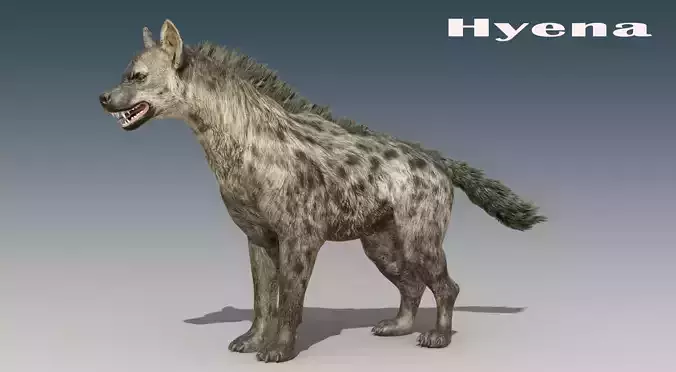 Hyena Rigged Low-poly 3D model