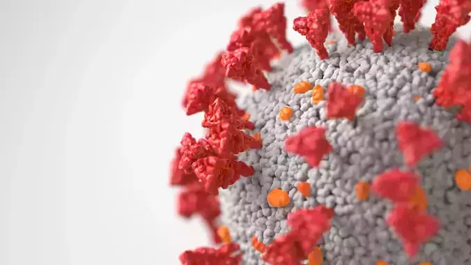 Corona Virus 3D model