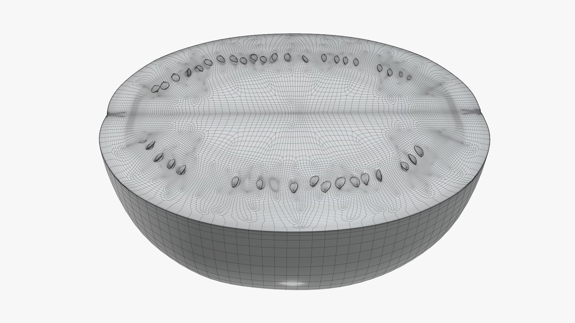 Half of a watermelon 3D model_6