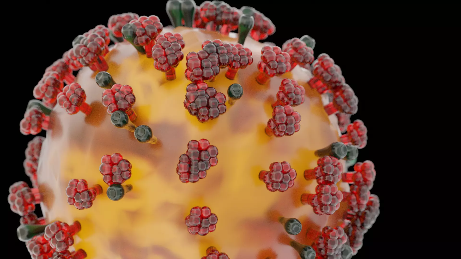 COVID-19 corona virus Low-poly 3D model_0