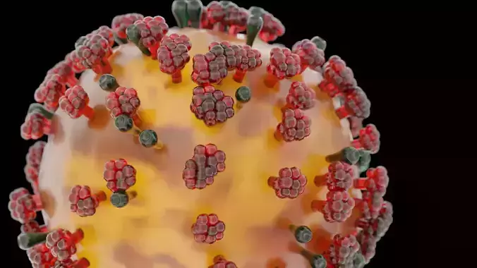 COVID-19 corona virus