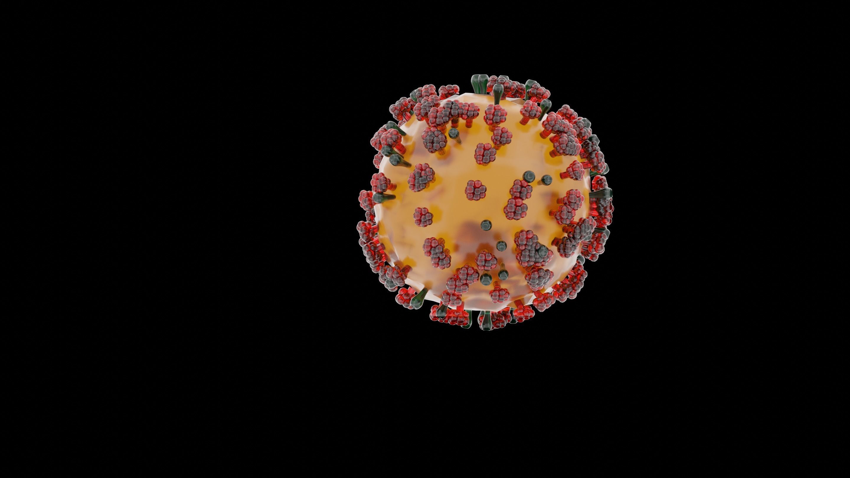 COVID-19 corona virus Low-poly 3D model_4