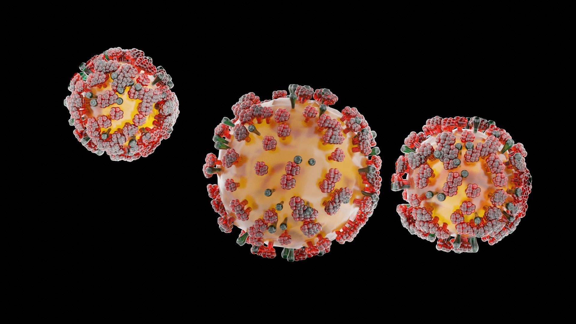 COVID-19 corona virus Low-poly 3D model_6