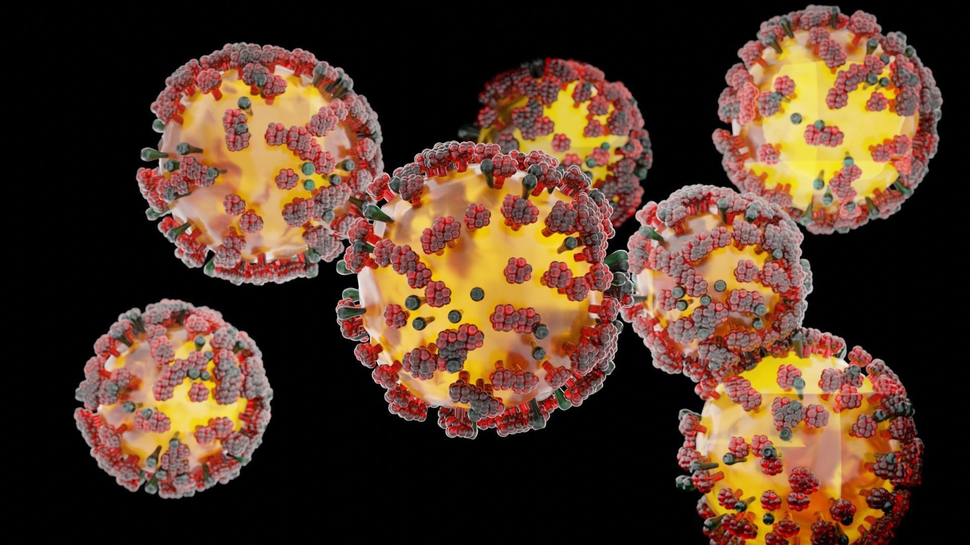 COVID-19 corona virus Low-poly 3D model_1
