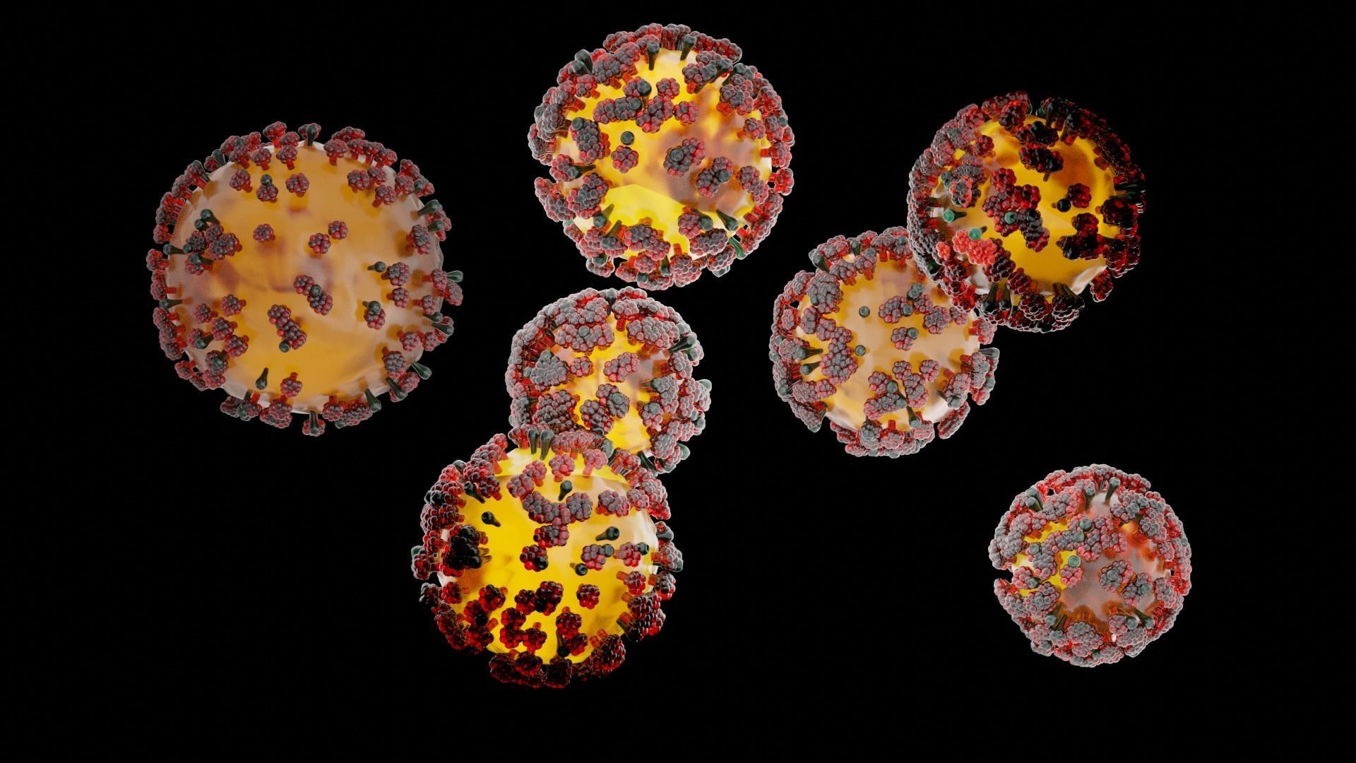 COVID-19 corona virus Low-poly 3D model_7