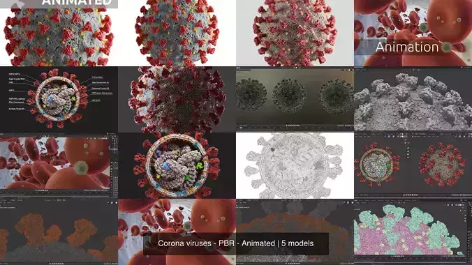 Corona viruses - PBR - Animated 3D Model Collection