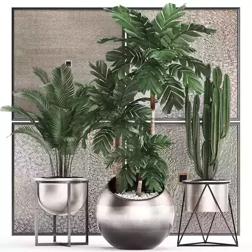 Decorative plants in flower pots for the interior 470