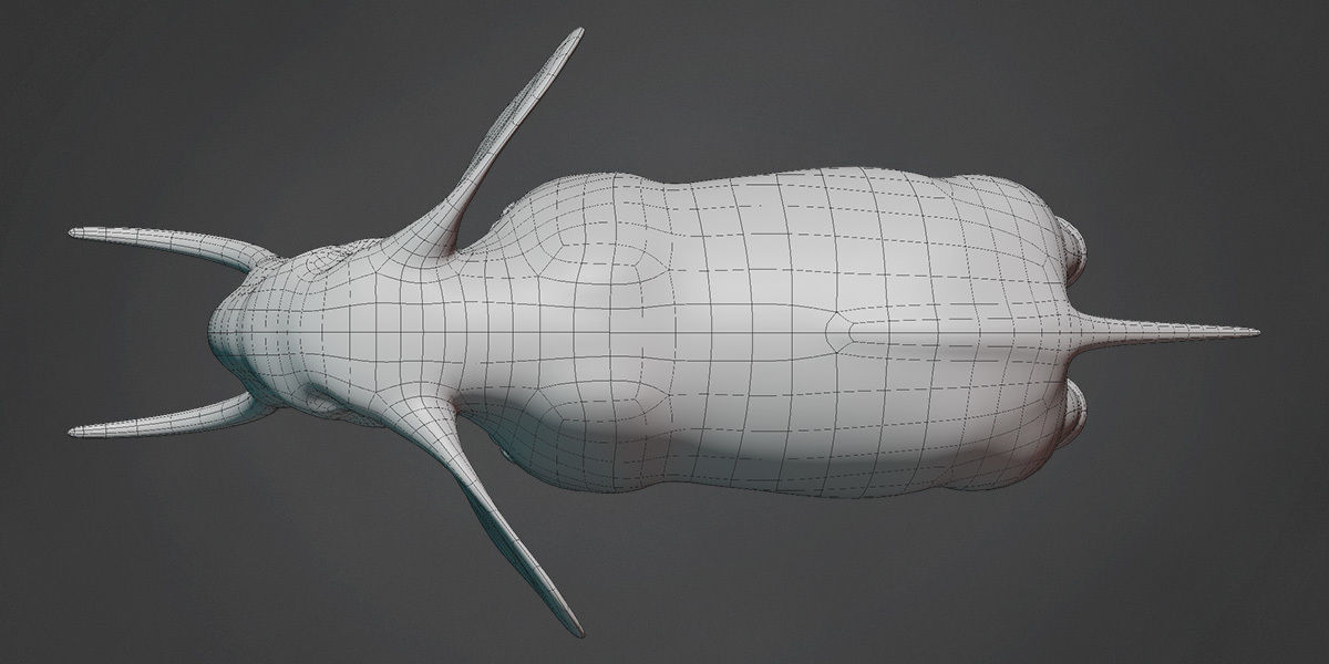 Elephant Base Mesh Low-poly 3D model_4