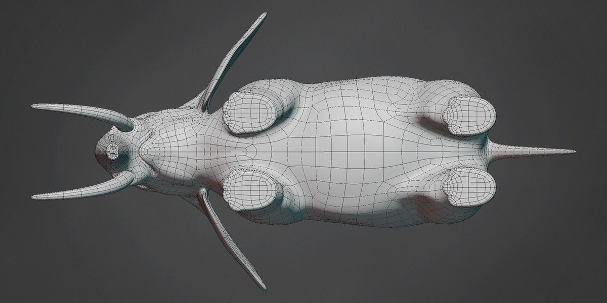 Elephant Base Mesh Low-poly 3D model_5