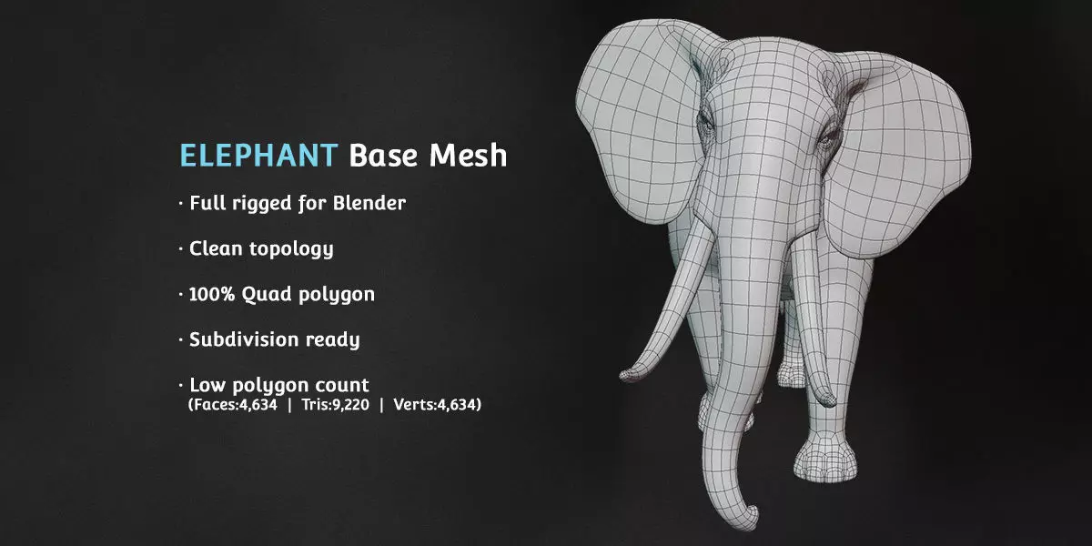 Elephant Base Mesh Low-poly 3D model_0