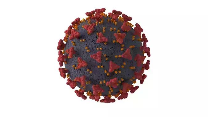 Covid 19  Virus Cell 3D model