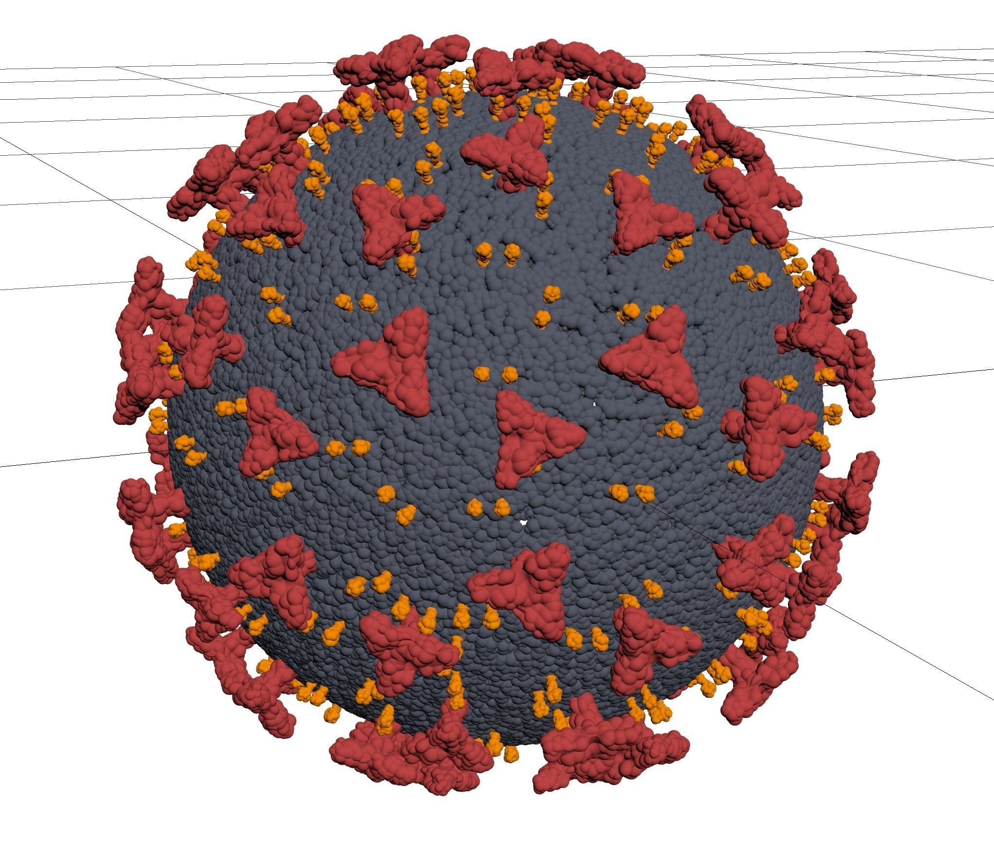 Covid 19  Virus Cell 3D model_1