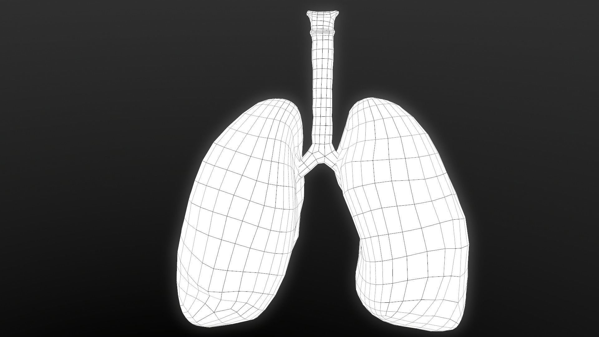 Respiratory System Low-poly 3D model_15
