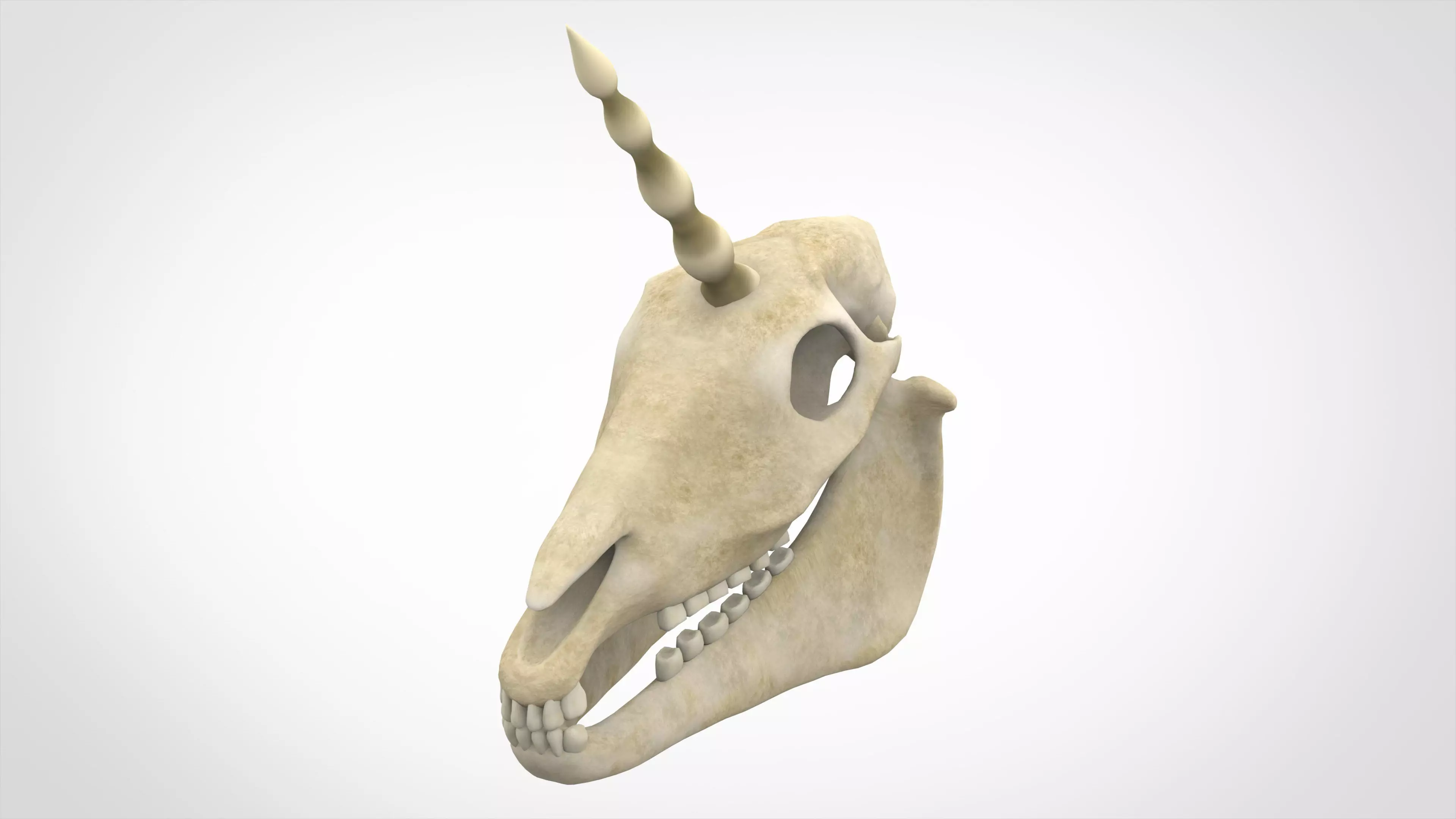 Unicorn Skull Low-poly 3D model