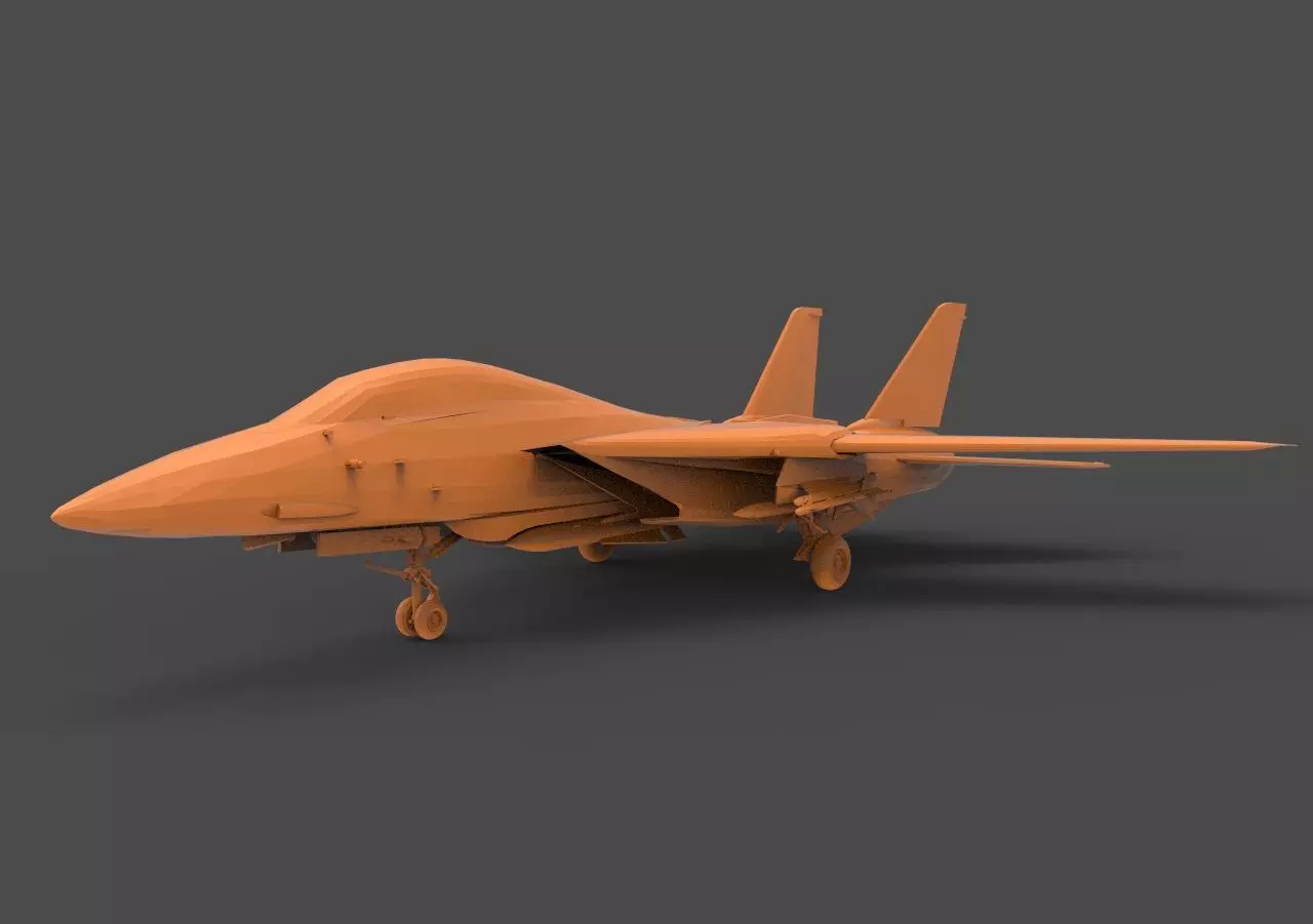 F-14 Tomcat 3D print model_0