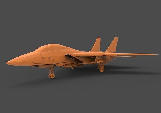 F-14 Tomcat 3D print model