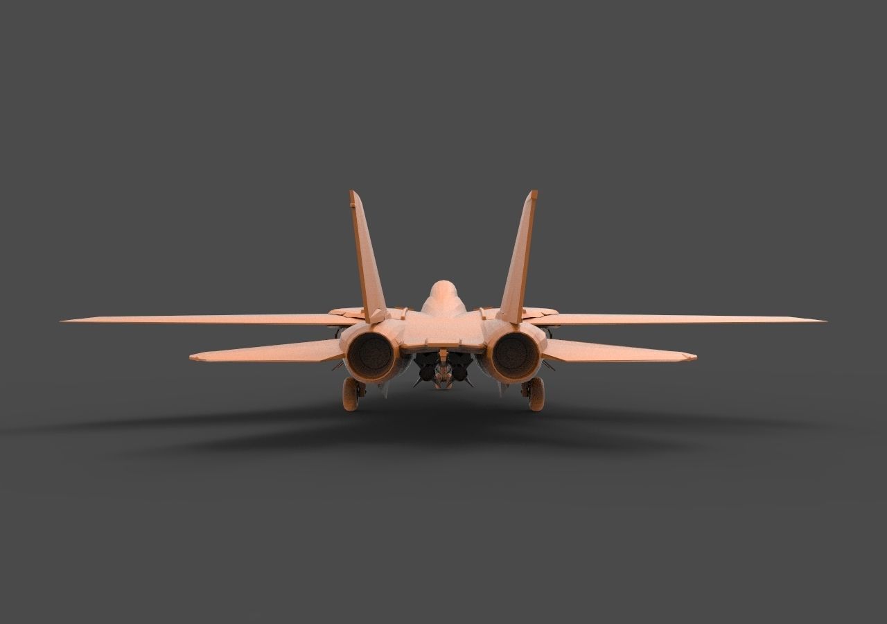 F-14 Tomcat 3D print model_5