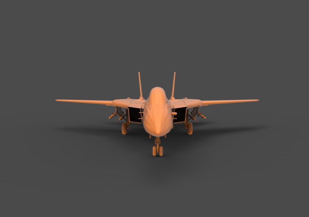 F-14 Tomcat 3D print model_1
