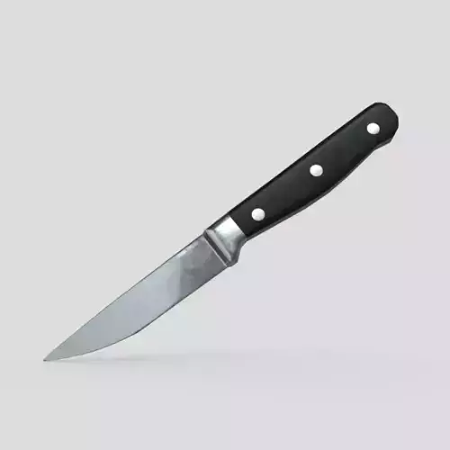 Kitchen Knife 7