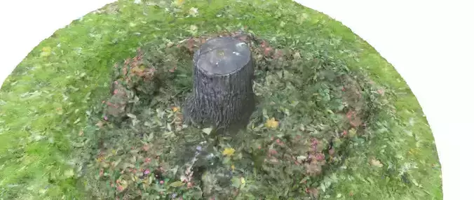 Park stump 1 3D scan