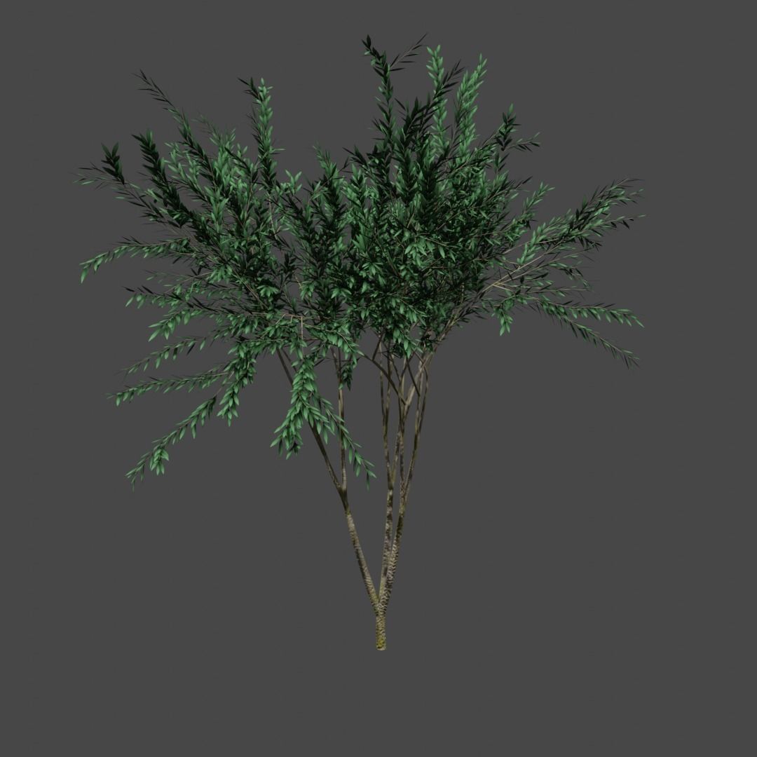 Tree 13 Low-poly 3D model