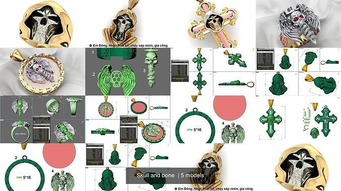 Skull and bone  3D Model Collection