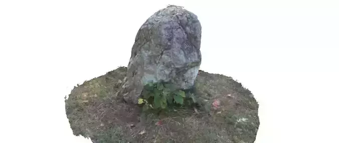 Part rock 3D scan