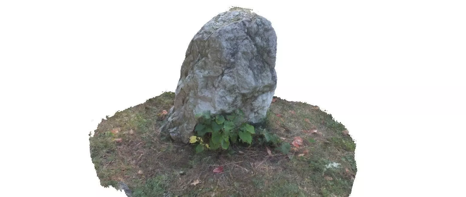 Part rock 3D scan Low-poly 3D model_0